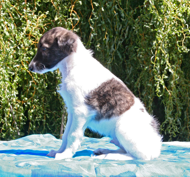 Surf Spots - Boy 2 Sit